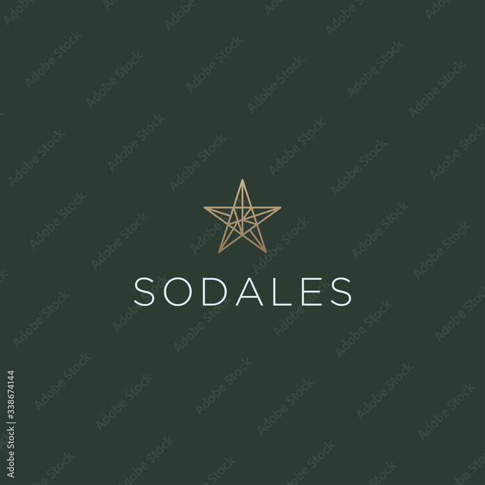 Abstract star line logo icon design vector Abstract star line logo icon design vector