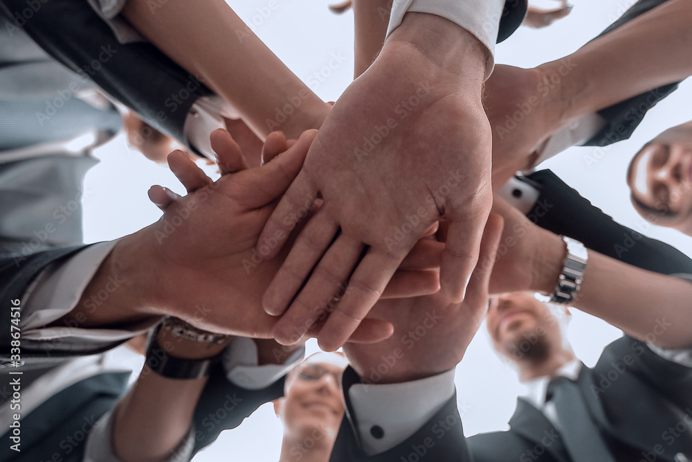 custom made wallpaper toronto digitalbottom view.the business team shows its unity