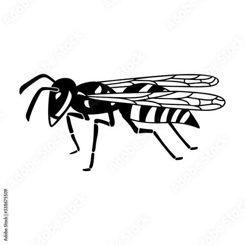 Insect wasp, black wasp silhouette. A stinging insect, an insect pest. Flat design. Vector