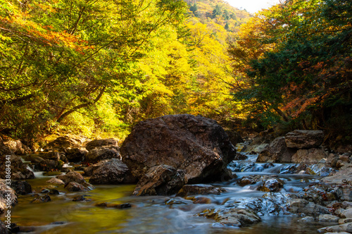 紅葉と大きな岩がある渓流