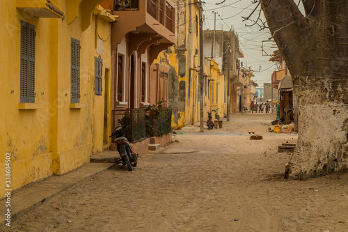 Kids playing on the typical street in Sant Louis  senegal  living a poor and uncomplicated life. Visible is a baobab and a row of yellow houses.