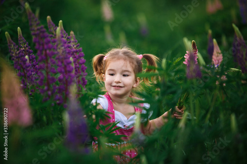 A small cheerful girl with two light tails on her head in a green field with purple flowers. A girl in a pink dress in a lupine field and a bouquet of lupines in her hands. Child's emotions-joy, prank