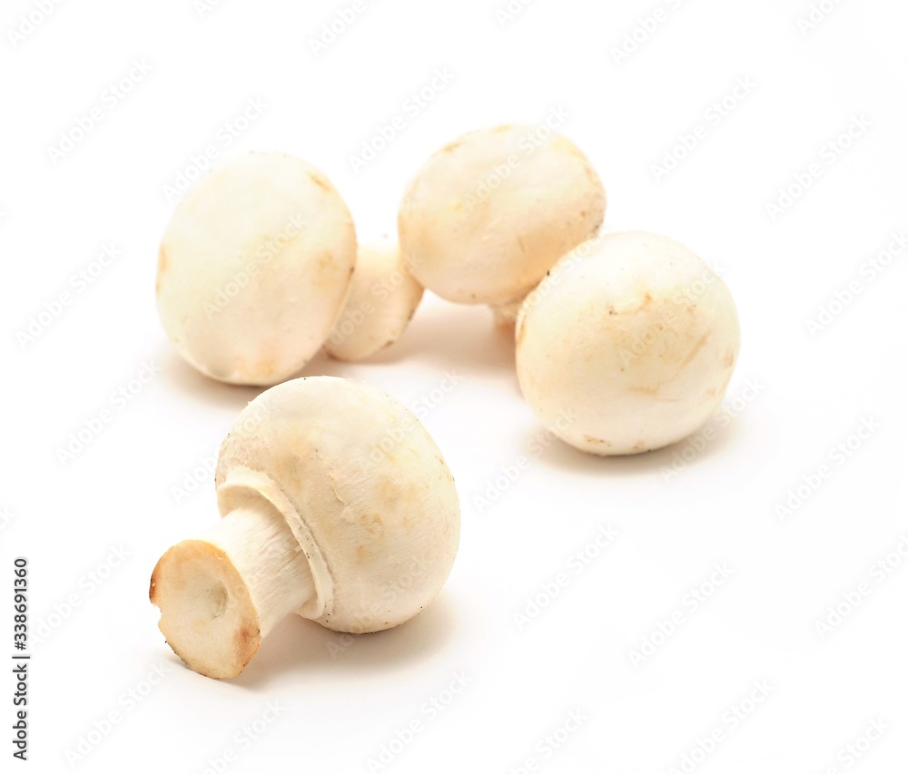 Champignons on white