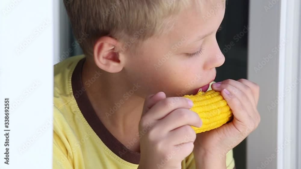 Closeup view video portrait of cute funny healthy white kid eating yellow tasty boiled corn cob looking out of window of his room staying home. Closeup view video portrait of cute funny healthy white kid eating yellow tasty boiled corn cob looking out of window of his room staying home.