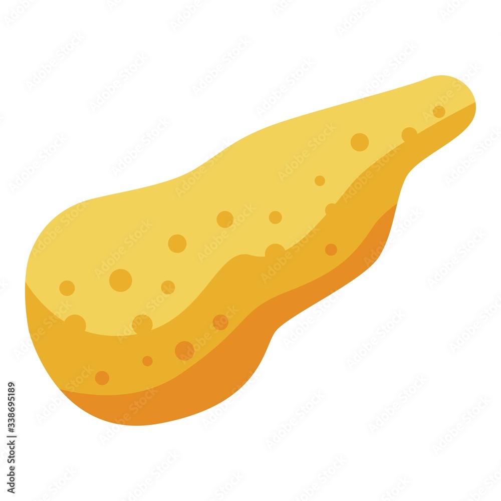 Donate organ pancreas icon. Isometric of donate organ pancreas vector icon for web design isolated on white background Donate organ pancreas icon. Isometric of donate organ pancreas vector icon for web design isolated on white background