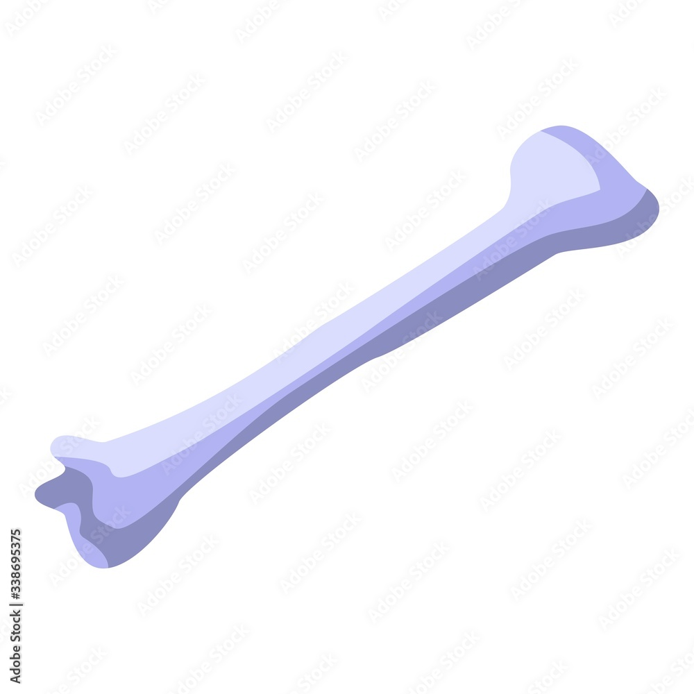 Human bone donate icon. Isometric of human bone donate vector icon for web design isolated on white background Human bone donate icon. Isometric of human bone donate vector icon for web design isolated on white background