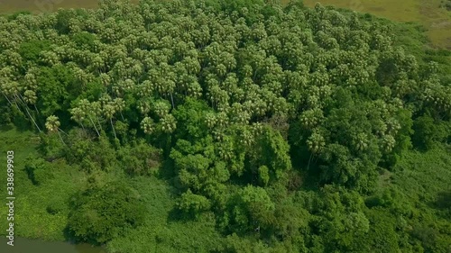 Aerial top view forest tree, Rainforest ecosystem and healthy environment concept and background, Wat Kham Chanot view from above.