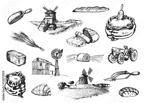 Graphic illustrations of miller stuff in vector. Hand drawn set of bakery and pastry goods in engraving style.
