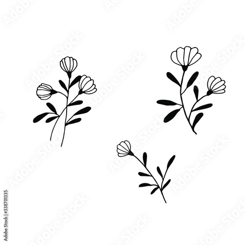 Silhouette of vector flowers on a white background. Flower plant lineart illustration.