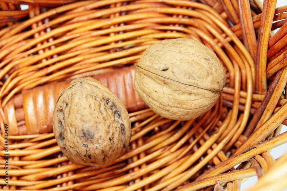 Ripe walnuts in a wicker basket are placed on a white background