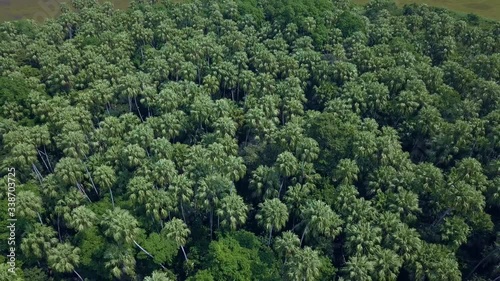 Aerial top view forest tree, Rainforest ecosystem and healthy environment concept and background, Wat Kham Chanot view from above.