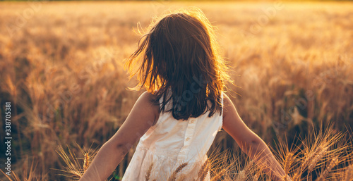 Back view photo of a caucasian girl walking in a wheat field against the sunshine touching the seeds with hands