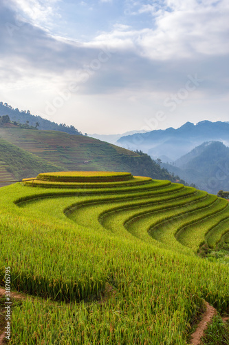 Green terrace rice field at Mu Cang Chai © Southtownboy Studio