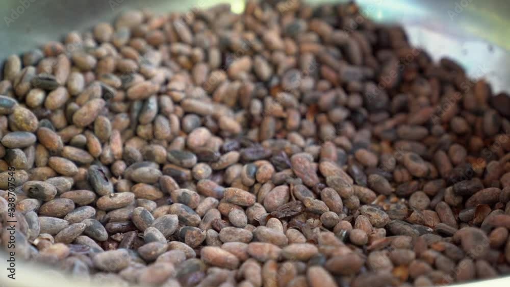 Hands picking up Cacao Seed from bowl_Slow Motion Hands picking up Cacao Seed from bowl_Slow Motion