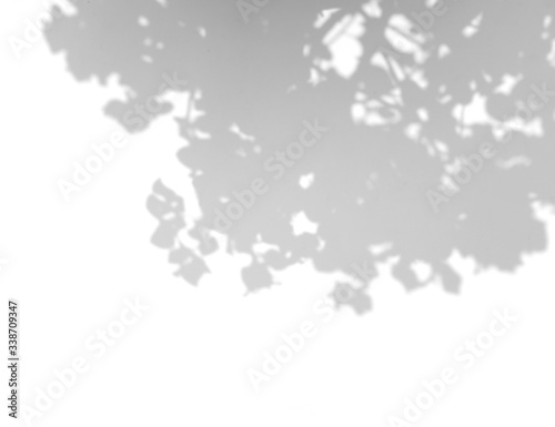 Leaves natural shadow overlay on white texture background, for overlay on product presentation, backdrop and mockup