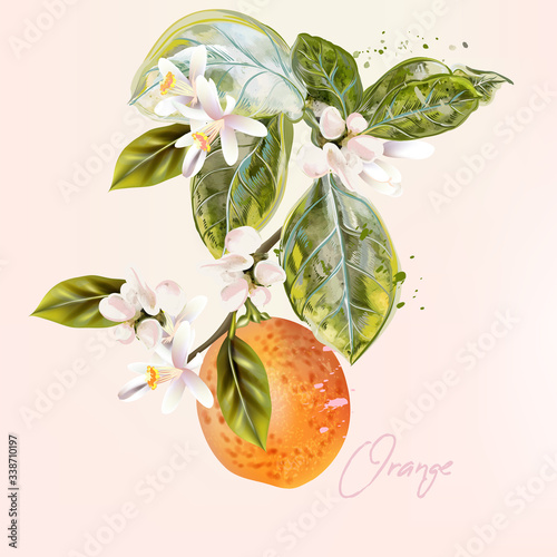 Botanical vector illustration with lemon and flowers in vintage style