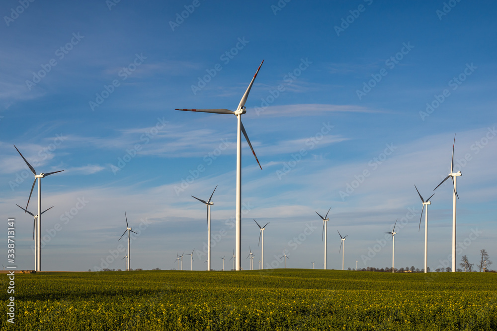 wind turbines on a spring field wind turbines on a spring field