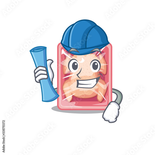 Cartoon character of frozen chicken brainy Architect with blue prints and blue helmet
