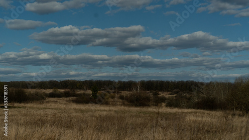 spring nature trees blooming flowers pine lake Russia middle lane water reservoir gardens sky clouds