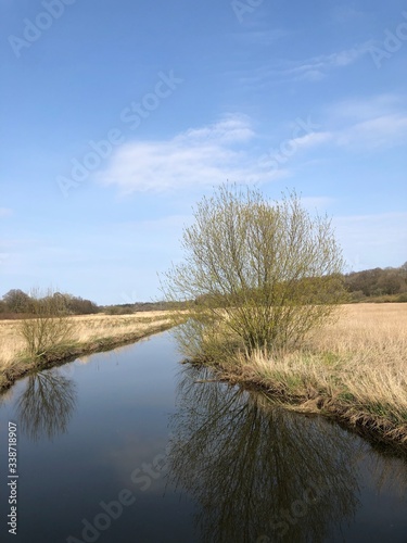 lake in the forest