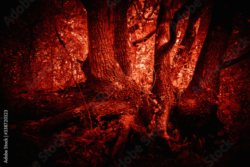 Mystical horror scary abstract forest to halloween. Clumsy dirty with the texture of the roots of a tree with knots in the darkness in a mysterious red light with black shadow, fantasy style