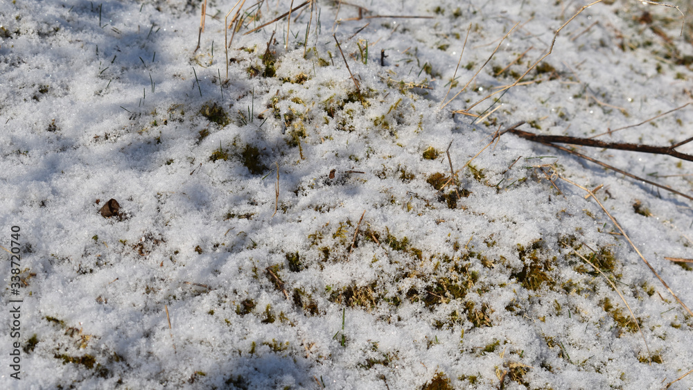 frisch gefallener Schnee glitzert in der Sonne frisch gefallener Schnee glitzert in der Sonne
