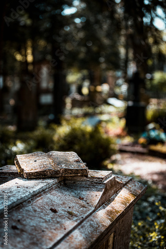 Wallpaper Mural Friedhof in Bonn Torontodigital.ca