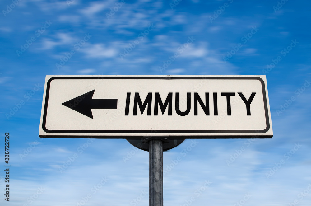 Immunity road sign, arrow on blue sky background. One way blank road sign with copy space. Arrow on a pole pointing in one direction. Immunity road sign, arrow on blue sky background. One way blank road sign with copy space. Arrow on a pole pointing in one direction.