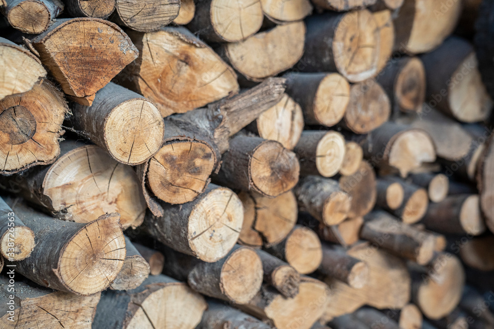 Holz Holz
