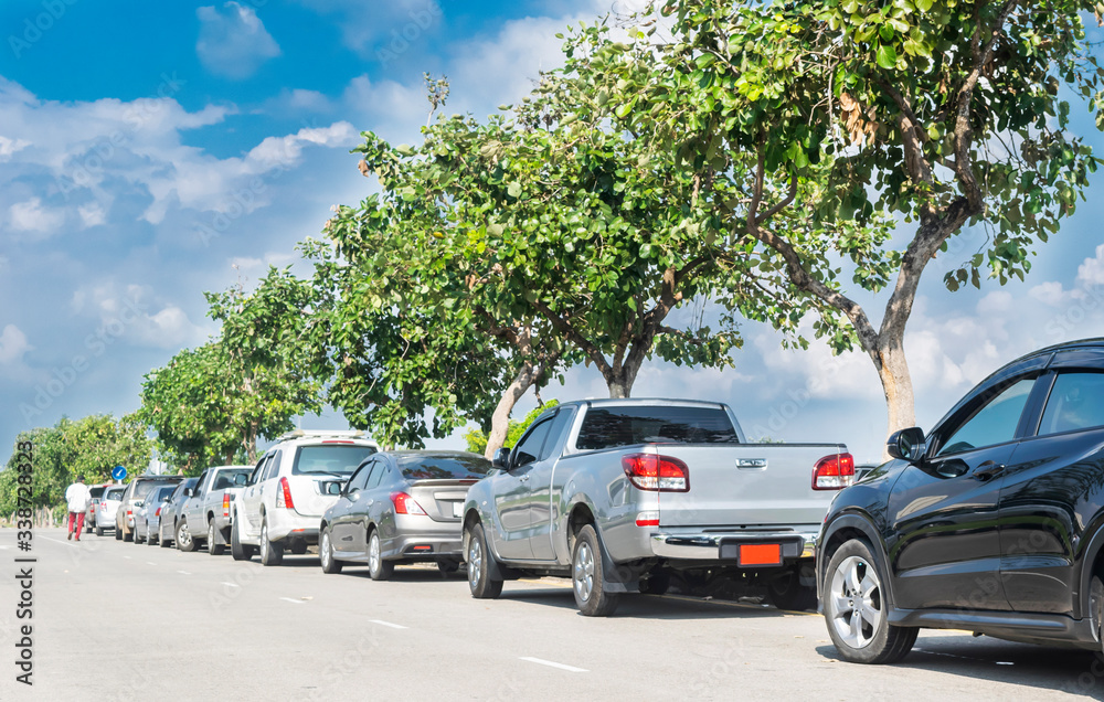 Cars parked in a row on street side under trees. business cars parking on road side