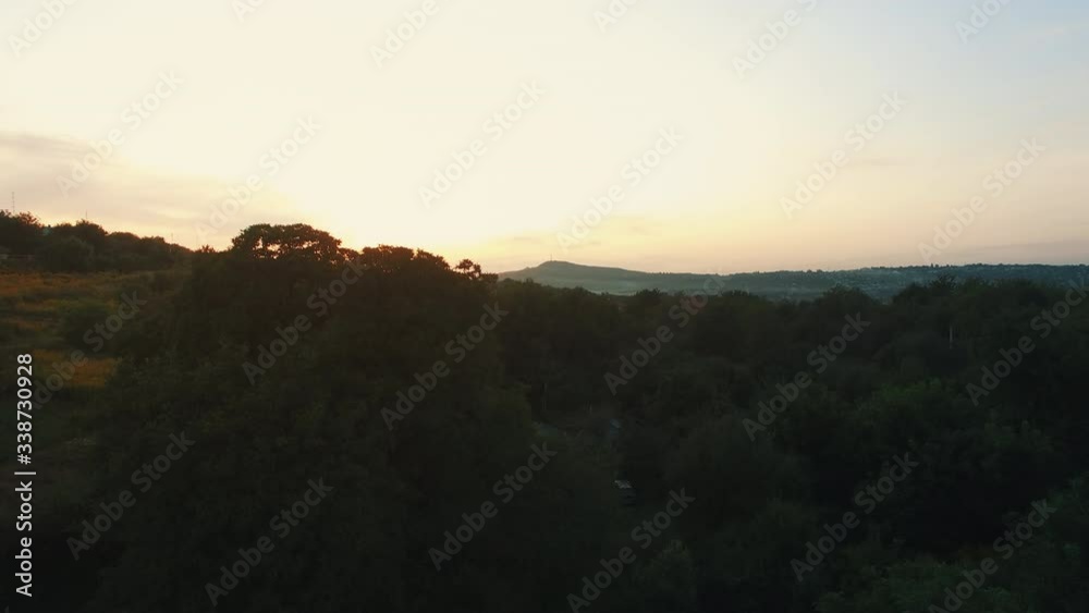 Picture of beautiful orange sunset in olive trees garden, agricultural landscape, lebanese farmland, vegetable produce industry, seasonal nature, fruit cultivation, healthy nutrition concept Picture of beautiful orange sunset in olive trees garden, agricultural landscape, lebanese farmland, vegetable produce industry, seasonal nature, fruit cultivation, healthy nutrition concept