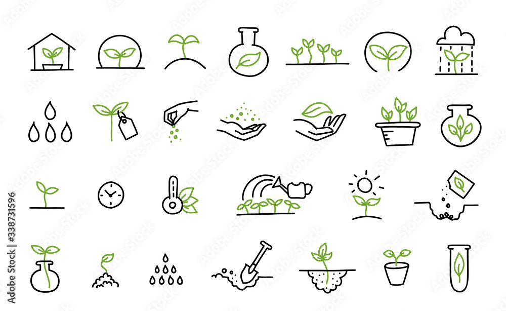 Set of growing seedlings icons. Plant shoots. Agriculture technology. Vector line hand-drawn sketch.