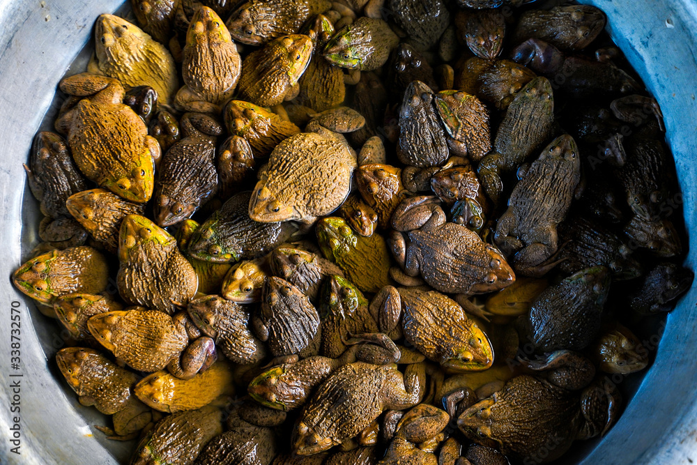 Obraz premium Laos South East Asia Travel