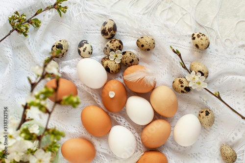 Easter eggs card in provence french style. Mix of chicken and quail eggs of natural color, blossoming cherry and apricots branches and feathers on delicate white scarf napkin, selective focus