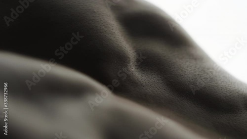 bodybuilder on white background, body