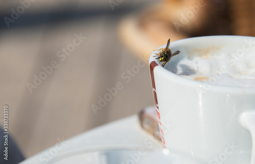 Wespe an der Kaffeetasse photo