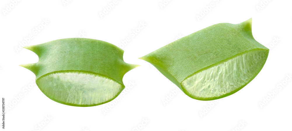 Fototapeta premium Aloe vera