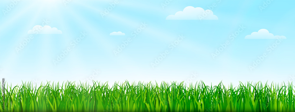 Fototapeta premium Spring nature background with green grass and blue sky. Vector illustration