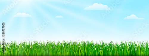 Spring nature background with green grass and blue sky. Vector illustration