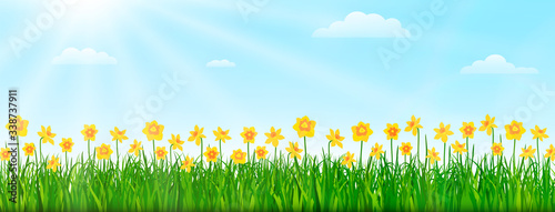 Spring nature landscape with flowers, green grass and blue sky. Vector illustration