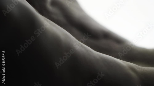 bodybuilder on white background, body