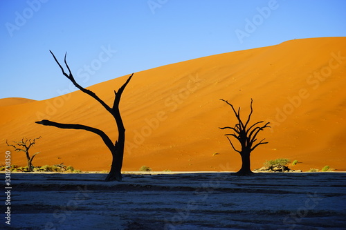 デッドフレイ-ナミビア・ナミブ砂漠の絵画- © ZUKKY