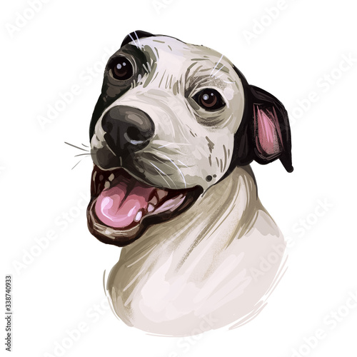Tableau sur toile Hawaiian Poi Dog extinct breed of pariah dog from Hawai