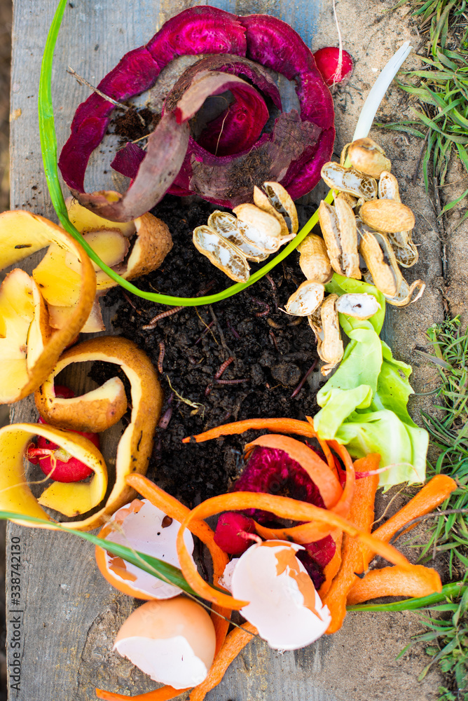 Red worms among solid waste in the organic