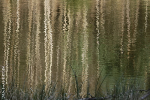 am Ufer eines Gewässers mit abstrakter Spiegelung