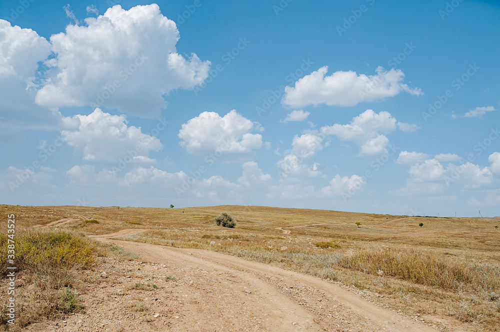 Obraz premium Country road. Ecology concept. Summer