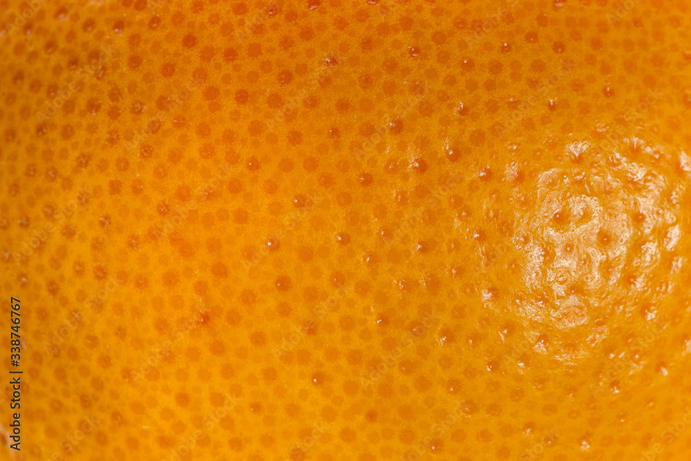 Grapefruit peel macro close up Grapefruit peel macro close up