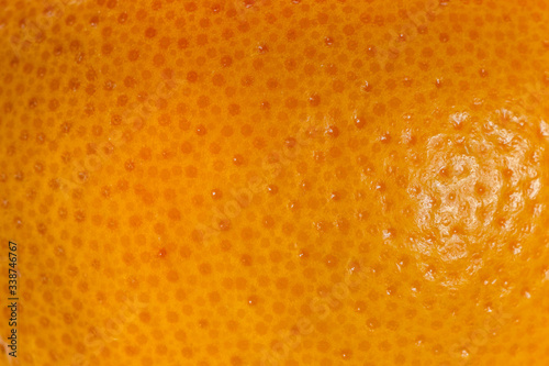 Grapefruit peel macro close up