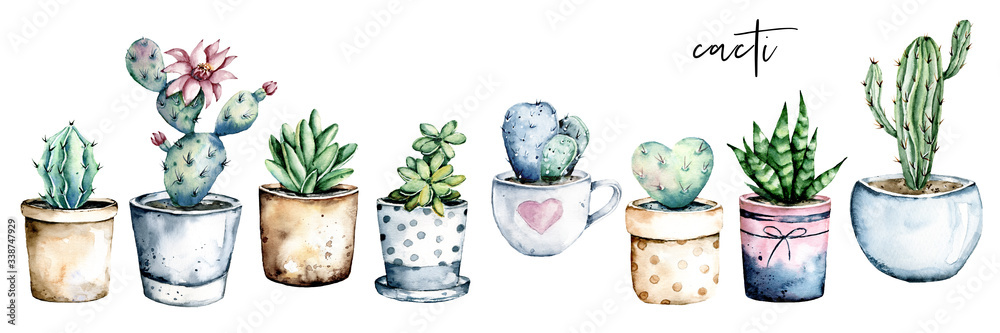 Cactus potted, watercolor painting. Cacti, succulents set isolated on white. Perfectly for stickers, greeting design.