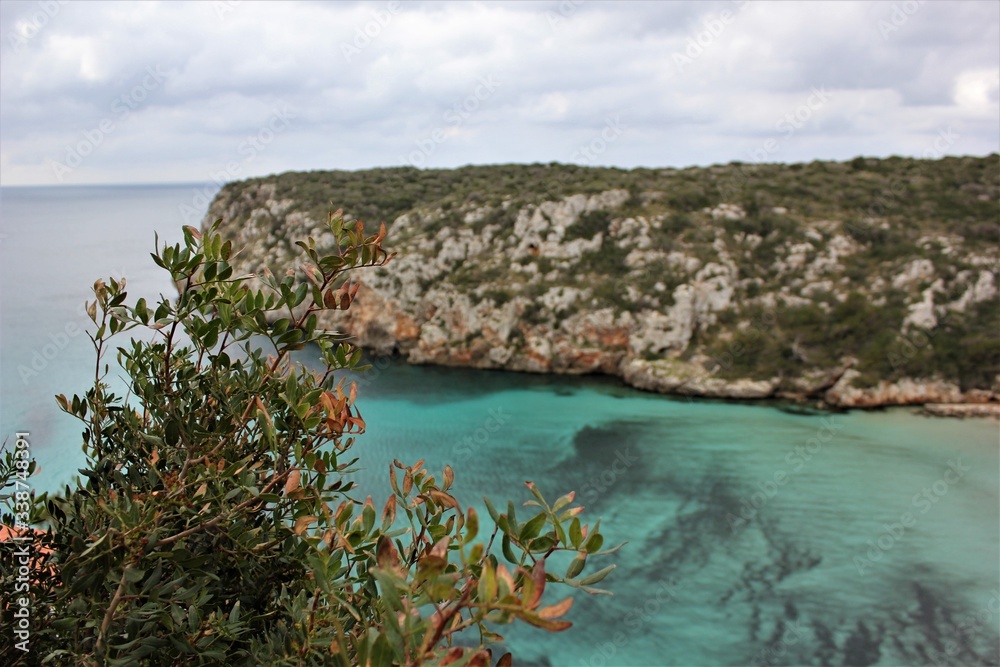 green bush on a background of a bay with blue water and a hill